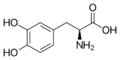 3,4-Dihydroxy-L-phenylalanin (Levodopa)