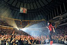 A-Mei World Tour in Taipei Arena 20100319.jpg