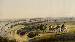 Archivo:Alfred Jacob Miller - Hunting Buffalo - Walters 371940190