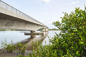 Archivo:Bridge over Rio Farim-Cacheu, São Vicente, Guinea-Bissau