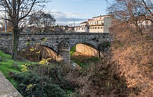 Bridge over the Odron River in Los Arcos (1).jpg