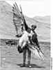 Bundesarchiv Bild 135-KB-17-095, Tibetexpedition, Erlegter Schneegeier.jpg