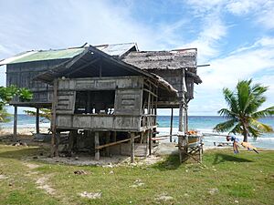 Archivo:Cang-isok Historic House in Siquijor