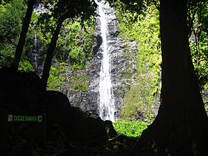 Archivo:Cascade.Vaimahuta