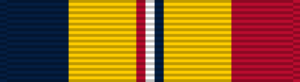 Archivo:Combat Action Ribbon