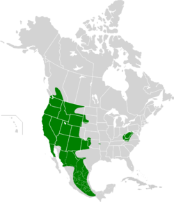 Área de distribución