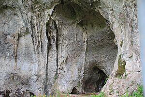 Archivo:Cueva del Conde (02)