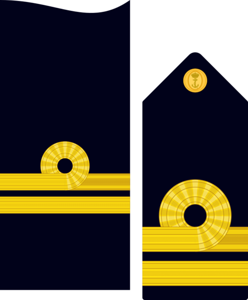 Divipalaarmadaes 20