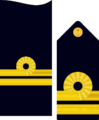 Divipalaarmadaes 20