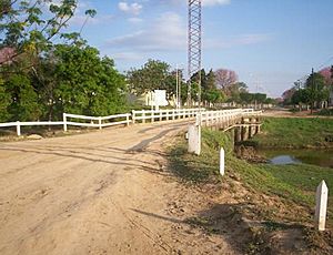 Archivo:Entrada-puente