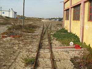 Archivo:Entroncamento do Transpraia