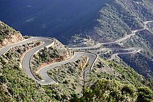 Archivo:Eritrean mountain road