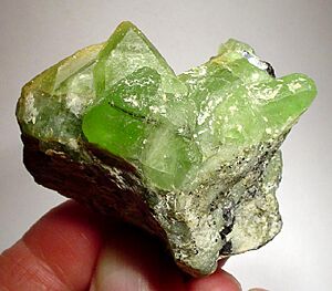 Forsterite-261692