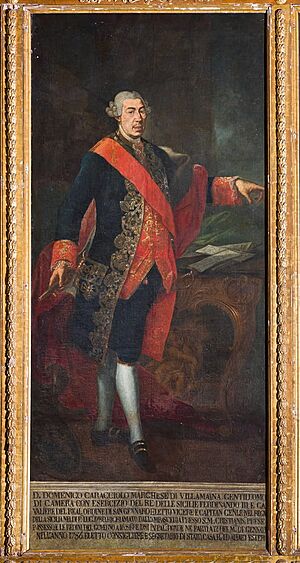 Archivo:Gaetano Mangano - Viceroy Domenico Caracciolo (oil on canvas) (MeisterDrucke-1400718)