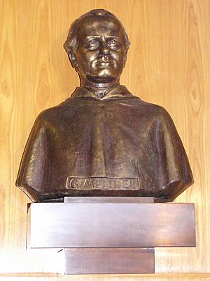 Archivo:Gregor Johann Mendel bust