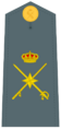 Guardiacivildivi43