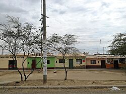 Lagunas des de la Panamericana Norte02.jpg
