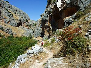 Archivo:Landschaft in andalusien08