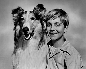 Archivo:Lassie Tommy Rettig Circa 1955