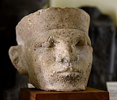 Archivo:Limestone head of a king. Thought by Petrie to be Narmer. Bought by Petrie in Cairo, Egypt. 1st Dynasty. The Petrie Museum of Egyptian Archaeology, London