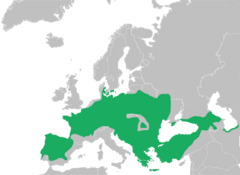 Distribución según lo definido por la UICN en 2009. Algunas poblaciones (Península Ibérica, partes de Europa del Este, Turquía y las regiones del Mar Negro y Mar Caspio) ahora se reconocen como especies separadas