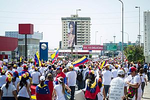 Archivo:Marcha hacia el Palacio de Justicia de Maracaibo - Venezuela 05
