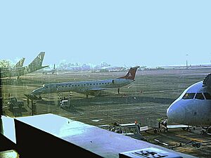 Archivo:Mexicana by TAR Aerolineas ERJ-145LR (XA-AFH) at GDL