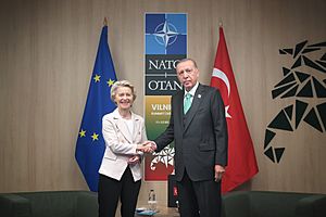 Archivo:NATO Summit, Vilnius.P061598-880399