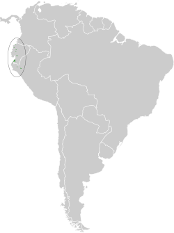Distribución geográfica del anambé pizarra.