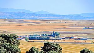 Archivo:Panorámica de Pedrosillo de Alba