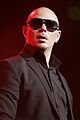 Pitbull (7906562418)