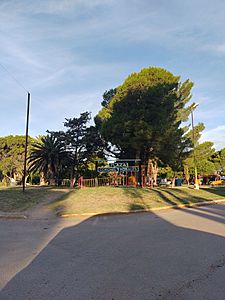 Plaza "Coronel Rosales", Villa General Arias, Coronel Rosales, Argentina