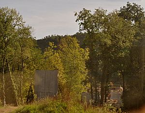 Archivo:Puente nuevo de Golbardo