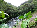 Río Claro (13960995917)