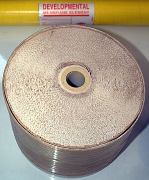 Archivo:Reverse osmosis membrane coil