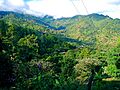 SanJuancito2010