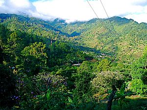 Archivo:SanJuancito2010