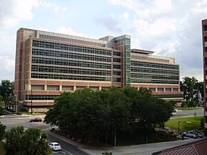 Archivo:UF-CancerCenter
