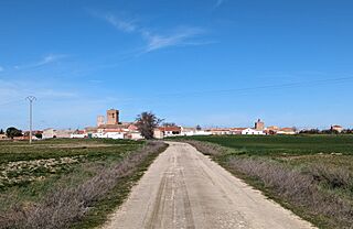 Vista de Fuente el Saúz 02.jpg