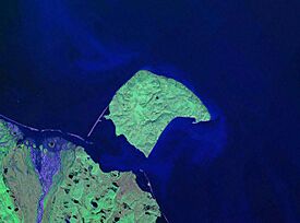 Wfm herschell island pseudocolour2.jpg