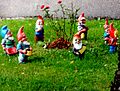 7 garden gnomes