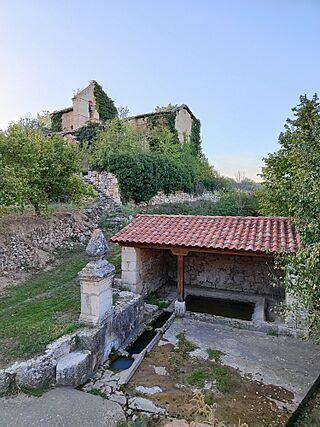 Arana.jpg