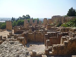 Archivo:Archaeological Site of Carthage-130238