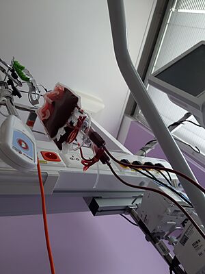 Archivo:Blood bag 2020