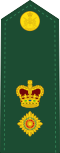 Canadian Army OF-4.svg