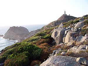 Archivo:Capo Sandalo (Carloforte)