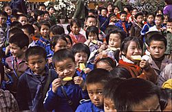 China1982-514.jpg