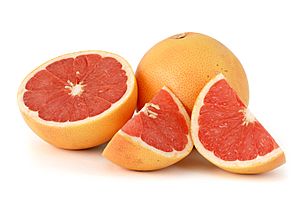Archivo:Citrus paradisi (Grapefruit, pink) white bg