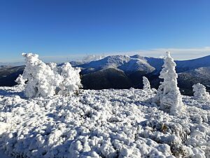 Archivo:Con nieve en la Sierra de Guadarrama, en el macizo de Peñalara. España, Spain