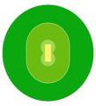 Cricket field blank
